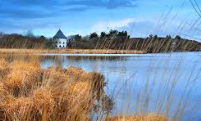 Llyn Llech Owain Country Park